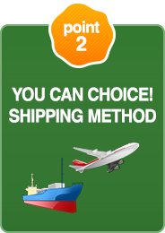 point2 YOU CAN CHOICE! SHIPPING METHOD